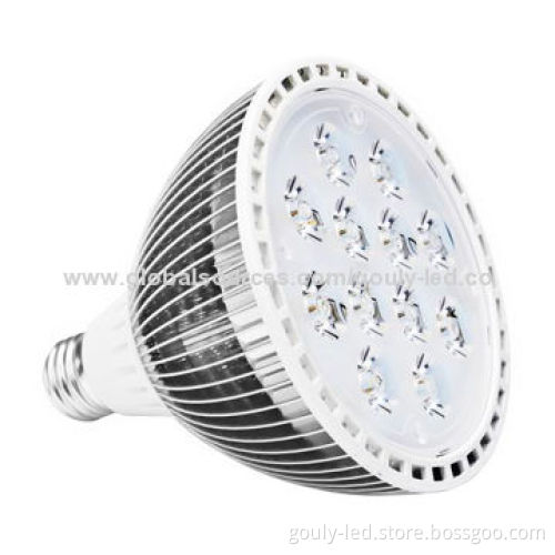 PAR38 LED Bulbs with 12W Power Consumption and 85 to 265V AC Input Voltage